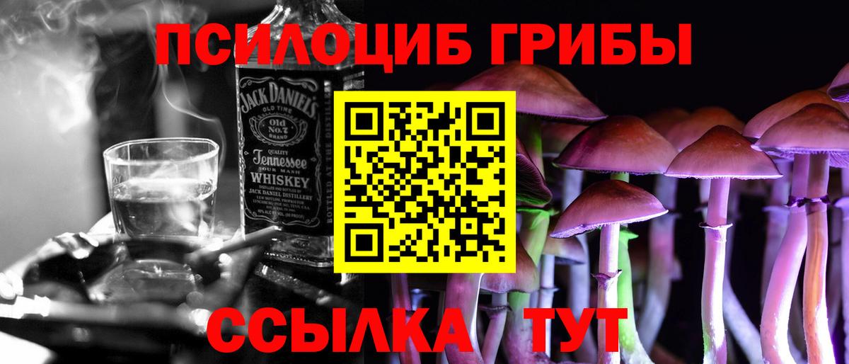 Галлюциногенные грибы Cubensis Карталы